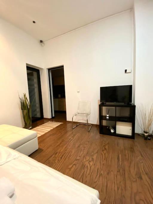Harmony Homes- Piata Unirii Central Apartament Timisoara Exterior photo