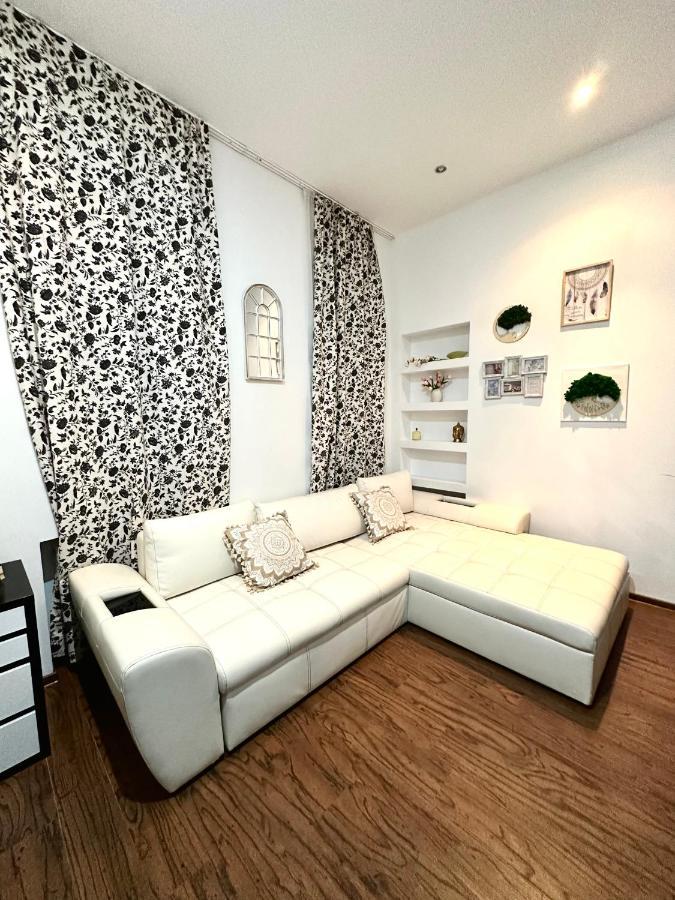 Harmony Homes- Piata Unirii Central Apartament Timisoara Exterior photo