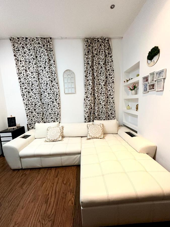Harmony Homes- Piata Unirii Central Apartament Timisoara Exterior photo