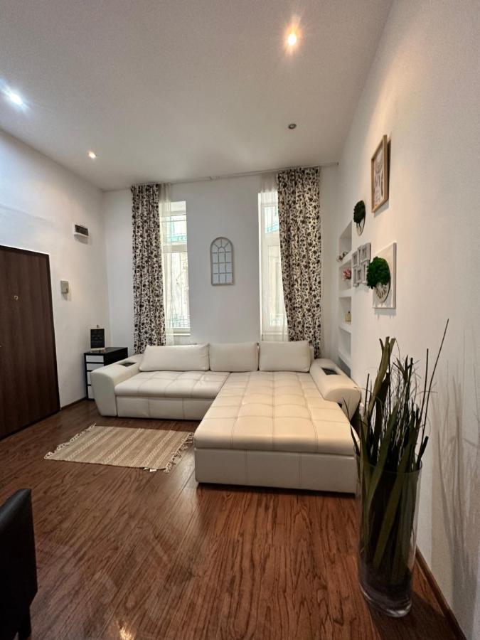 Harmony Homes- Piata Unirii Central Apartament Timisoara Exterior photo